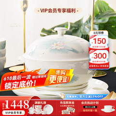 华光陶瓷碗套装 抗菌骨瓷餐具 釉中彩碗碟套装家用中式 春江水暖 春江水暖 46头礼盒装【抗菌瓷】
