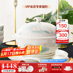 华光陶瓷碗套装 抗菌骨瓷餐具 釉中彩碗碟套装家用中式 春江水暖 春江水暖 46头礼盒装【抗菌瓷】