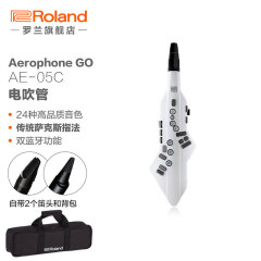 罗兰（Roland） Aerophone GO  AE-05C电吹管 AE-05C 白色（含两个笛头）