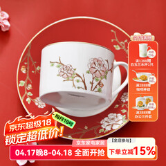 华光国瓷 骨瓷咖啡杯碟套装 故宫宫廷风咖啡杯碟 创意送礼礼盒装 锦色