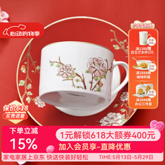 华光国瓷 骨瓷咖啡杯碟套装 故宫宫廷风咖啡杯碟 创意送礼礼盒装 锦色