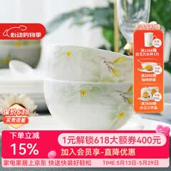 华光国瓷 骨瓷餐具套装 抗菌釉中彩碗盘套装 乔迁之喜高端礼品 白玉兰 白玉兰【抗菌瓷礼盒装】 30头
