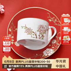 华光国瓷 骨瓷咖啡杯碟套装 故宫宫廷风咖啡杯碟 创意送礼礼盒装 锦色