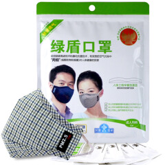 绿盾 抗菌口罩棉布 防尘 PM2.5 可水洗棉布轻便透气型 男女骑行面罩蓝灰格均码