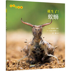 诞生了蚁蛳/生命的故事