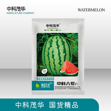 中科茂华西瓜种子组合冰糖麒麟早佳8424超甜京欣16度冰麒麟西瓜种籽懒汉神龙至尊宝西农八号甜王类型 中科八号50粒/袋【替代西农八】