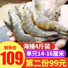 虾【领卷立减20】沃鲜汇国产 大虾 4斤装 青虾鲜虾海虾基围虾鲜活冷冻生鲜 虾类 已核酸检测 14-16厘米(人工精选) 4斤装(净虾3斤)