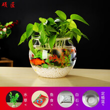 小鱼缸玻璃鱼缸水族箱家用客厅小型乌龟缸桌面创意龟缸迷你金鱼缸 20圆球+白石+水草+鱼食+定植篮