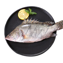 御鲜之王 桂鱼鲜活淡水鱼鳜鱼水产鳌花鱼季花鱼 活鱼约600g/条 现杀(净膛)