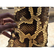 厂家直销缅甸蟒皮尾巴根中胡皮二胡皮乐器配件坠琴二弦皮满 D系 中间宽16-17