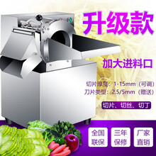 甄樽切菜机商用土豆胡萝卜切片机切丝机商用切段切条机多功能蔬菜切菜机学校饭店食堂用 30型切菜机铜芯电机终身维修