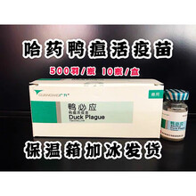 哈药鸭瘟活疫苗 鸭必应500羽/瓶 10瓶/盒 兽用 3盒价
