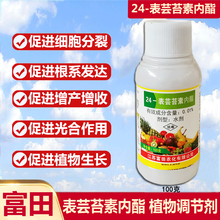 芸苔素内酯0.01％增糖蔬菜瓜果水溶肥果树叶面肥产量提高产量促进生长生长植物生长调节剂 10瓶 100克/瓶