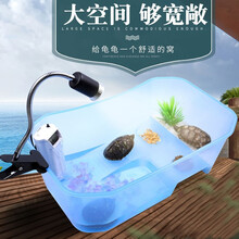 森森（SUNSUN）乌龟缸带晒台巴西龟缸盒小型龟箱龟盆小大型家用水陆缸养龟缸 ES龟缸裸缸蓝色中号 长40宽24.5高13cm