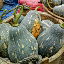 寿禾 南瓜苗大全各种贝贝南瓜种子香芋蜜本银栗贵族种苗菜苗秧寿光蔬菜苗土发货家庭种植阳台庭院秋季播种 寿禾香芋南瓜种子 10粒原装