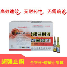 兽药 猪牛羊肠炎腹泻止痢A+B 金根注射液+硫酸小檗碱注射液