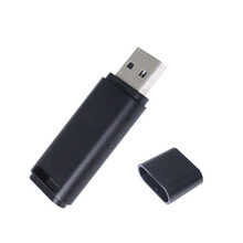 DaFonQi 招投标u盘128m512m1G2G4G32G64G小容量投标专用优盘（招标书 礼品） 塑料优盘 4G