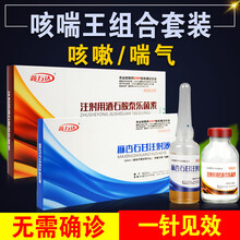 麻杏石甘注射液兽药兽用猪羊用干咳嗽喘气 针剂 泰乐菌素+麻杏石甘【11盒】