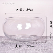 免换水鱼缸水族箱透明玻璃小型乌龟桌面金鱼缸家用客厅圆形小鱼缸 35号裸缸