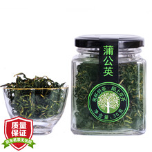 共2罐装 蒲公英茶长白山蒲公英叶天然婆婆丁花草茶蒲公英花茶