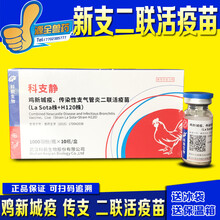 鸡疫苗 点眼滴鼻 鸽子疫苗 新支二联 新城疫传染性支气管二联苗  西蜀农大 新支二联H120+稀释液+滴鼻器各1