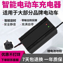 新蕾电动车充电器电动的充车器48V12A通用新蕾台邦绿能金彭电动三轮车60v20A充电器 铅酸48V32-35T型号通用