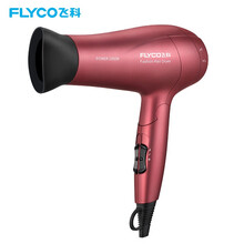 飞科（FLYCO） 电吹风 家用负离子大功率吹风筒便携式吹风机负离子FH6218 店长推荐