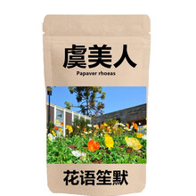 虞美人种子 混色虞美人花种子春播一年生耐阴花种子易活花种景观花卉花海种子花草种子 虞美人种子 混色装10克约2万粒