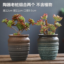 多肉花盆大号老桩特价清仓创意个性家用室内大口径粗陶透气陶瓷肉肉植物盆组合套装花盆五个一组多肉花盆 陶器老桩组合2个 大