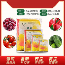 美国仙农 喷克 80%代森锰锌 叶斑病霜霉病农药杀菌剂 500g