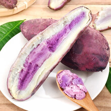 冰淇淋红薯5斤新鲜紫薯番薯农家自种板栗蜜薯粉糯香甜地瓜