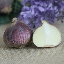 坝野 新鲜紫皮大独头蒜精选大果云南现挖现发 鲜独蒜头新货大蒜1/2/3/5/8/10斤 整箱约10斤独头蒜顺丰