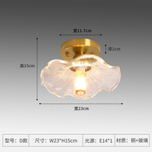 画宇 全铜过道灯走廊灯简约现代北欧阳台花朵吸顶灯衣帽间楼梯玄关飘窗入户灯 G20-D款