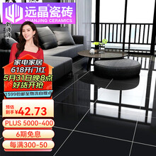 远晶瓷砖【玻化砖】 地板砖客厅800*800亮光纯黑工业风卧室厨卫地砖 黑色 800x800
