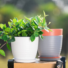 恰好时光 北欧旋纹花盆 树脂塑料绿萝吊兰多肉植物花盆 绿植阳台蔬菜种植盆庭院种花盆带托盘底部排水孔 白色