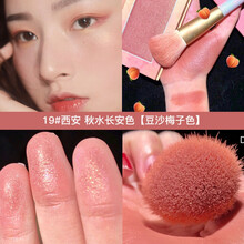 DIJIA缔葭城市腮红倾城单色晒红女哑光珠光自然豆沙橘色胭脂缔霞 19#西安 秋水长安色 【豆沙梅子色】