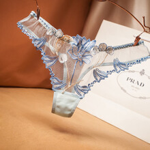 【保密发货】情趣内裤女性感女士丁字裤开档免脱女性内衣刺绣诱惑自慰全透明女式t裤成人用品火辣激情美臀 蓝色 均码 丁字裤勒隂