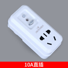 上海德力西 漏电保护插头插座 漏电保护器开关水龙头热水器空调大功率10A/16A 10A直插(功率2500W)