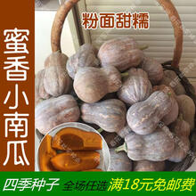蜜香南瓜种子 春夏秋四季肉厚味香超甜干面 迷你蜜本小南瓜种子 蜜香小南瓜5粒