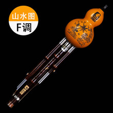 西马格葫芦丝演奏型乐器初学成人学生胡芦丝 F调
