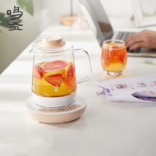 鸣盏 养生壶煮茶器煮茶壶电水壶热水壶烧水壶电热水壶迷你玻璃花茶壶  MZ-086