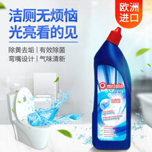 MISTOLIN 进口洁厕灵清香型洁厕液 卫生间除垢去异味 马桶厕所清洁剂 750ml