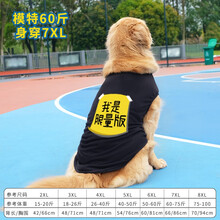 InnoPet大狗狗衣服夏季薄款金毛宠物夏装萨摩耶中型犬大型犬夏款拉布拉多 （夏款）黑色限量版 5XL（建议40-50斤）