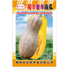 揭美 香芋南瓜种子 杂交一代浓香甜糯香芋风味 高产粉面好吃蜜本南瓜 贵族南瓜籽 瓜果蔬菜种子  揭丰蜜本南瓜种子 原装100粒