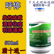 鱼腥草粗提取物口服液呼吸道鸡鸭发热咳嗽清肺化痰利尿500ml每瓶 500ml
