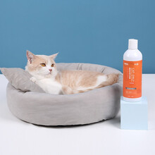 猫窝冬季保暖四季通用开放式宠物猫咪窝沙发别墅用品狗窝猫屋猫床 秋冬款猫窝+沐浴露套餐 S-小型