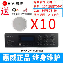 惠威（HiVi）TD202/TD201定压吸顶喇叭套餐店铺音响吊顶酒店背景音乐工程嵌入天花音箱 DT-80+TD202*10只