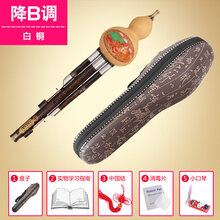 紫竹三音可拆精品演奏型C调降B调初学入门红木葫芦丝 白铜降B调+全套