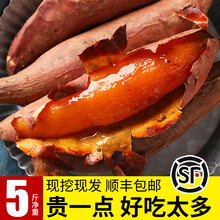 （顺丰直发）红薯新鲜农家番薯地瓜烤山东沙地烟薯25糖心红心蜜薯5斤顺丰中大果