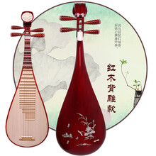 琵琶乐器成人儿童初学者入门琵琶教学琵笆乐器 成人红木背雕琵琶